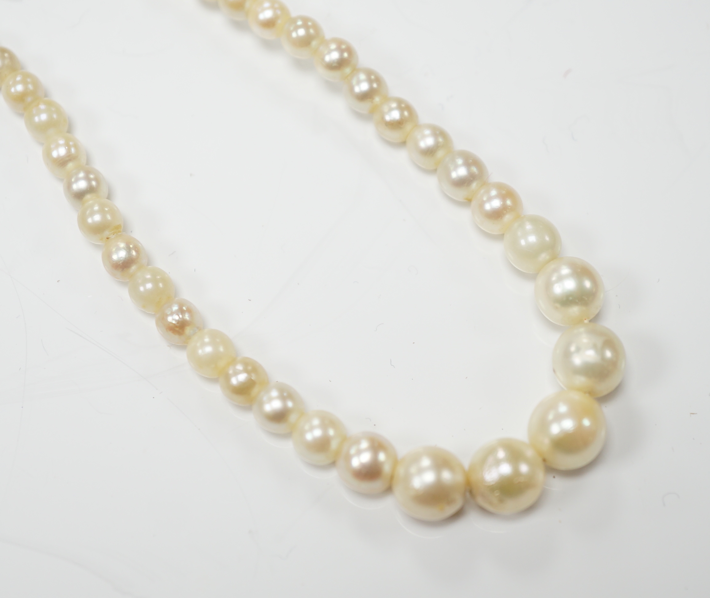 A single strand graduated cultured pearl necklace, with 9ct gold and cultured pearl set clasp, 40cm.